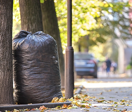 A full garbage bag sits on the curb, leaning against a tree.