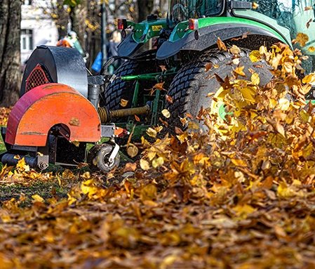 A green tractor cleans up fallen leaves littered across the grass.